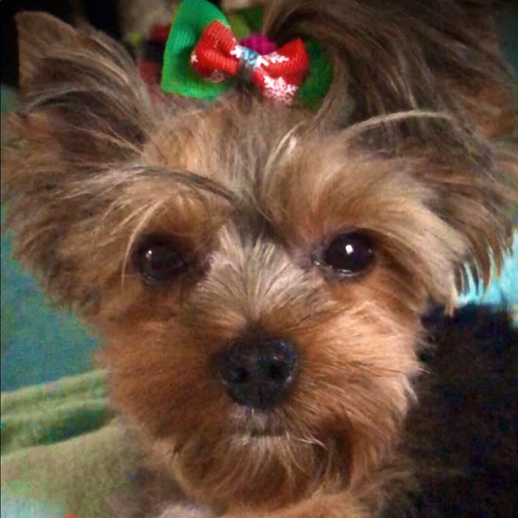 Meet your Posher, Vicki - Picture 3 of 5